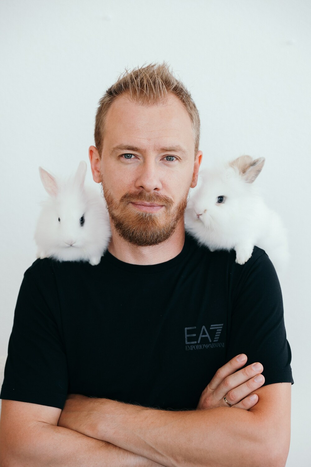 Тренды и современные фишки